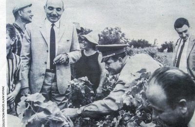 Ernest Duplissy dans les champs à Saint-Gilles, photographie d'archive des années soixante